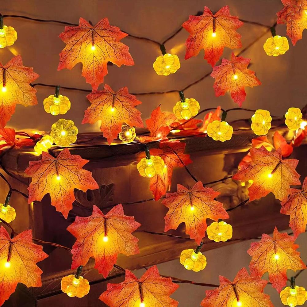 Luci a stringa di zucca piatte - Outdoor Lighting Battery Operated recensione e prezzo