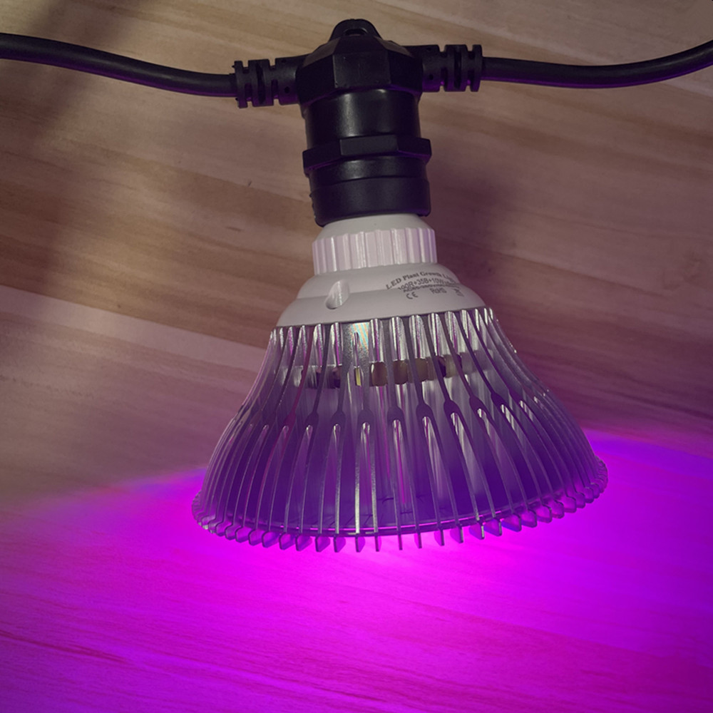 Cavo LED da 10 m, impermeabile - Waterproof Led Strip recensione e prezzo