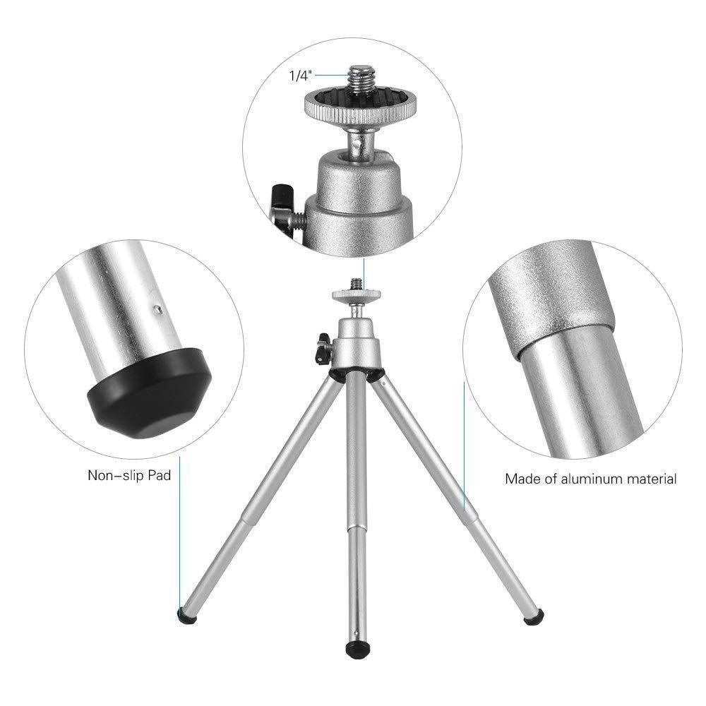 Supporto per lanterna portatil - Outdoor Lighting Globes recensione e prezzo